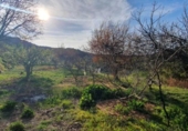 Casa de camp amb terreny en venda a la España, Yunquera, ref.: TR144309 foto