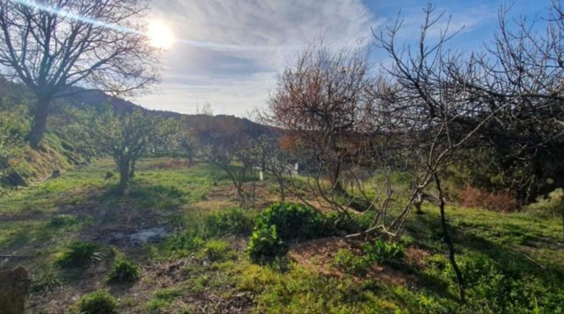 Málaga - Yunquera - 4000m2