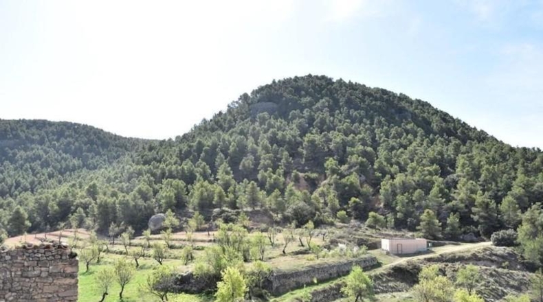 Teruel - Fuentespalda - 24590m2