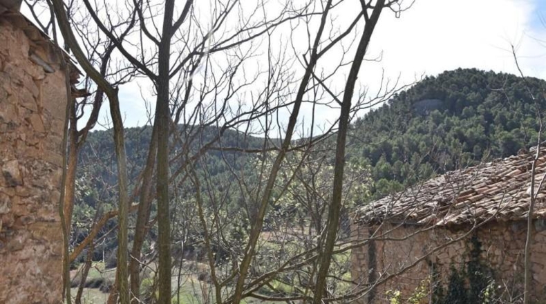 Teruel - Fuentespalda - 24590m2