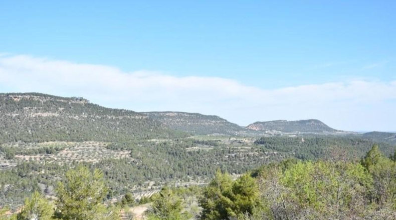 Teruel - Fuentespalda - 24590m2