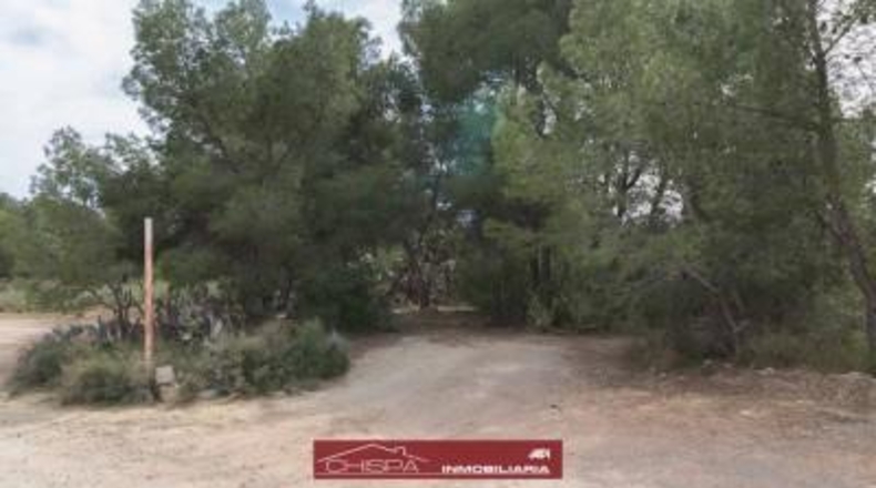 València - Náquera - 4936m2
