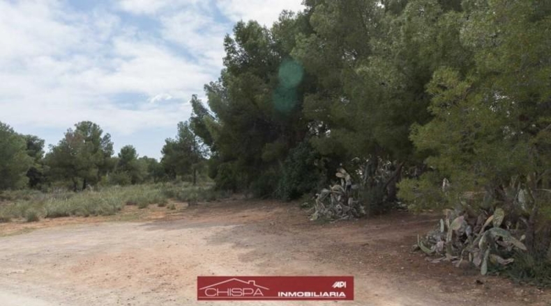 València - Náquera - 4936m2
