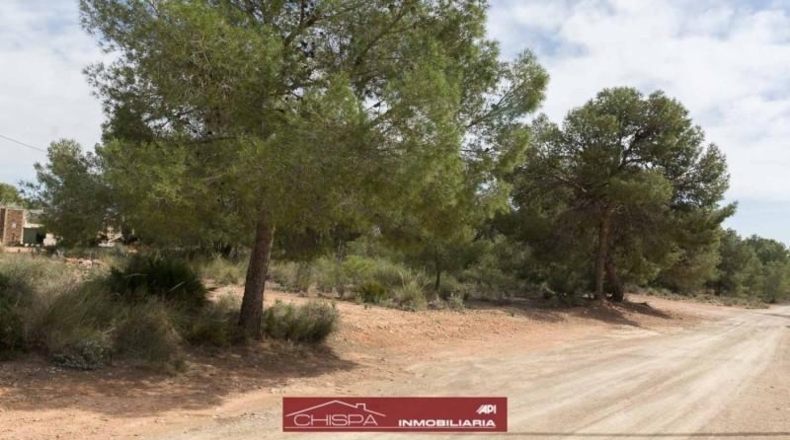València - Náquera - 4936m2