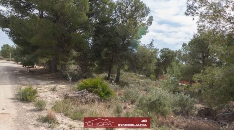 València - Náquera - 4936m2