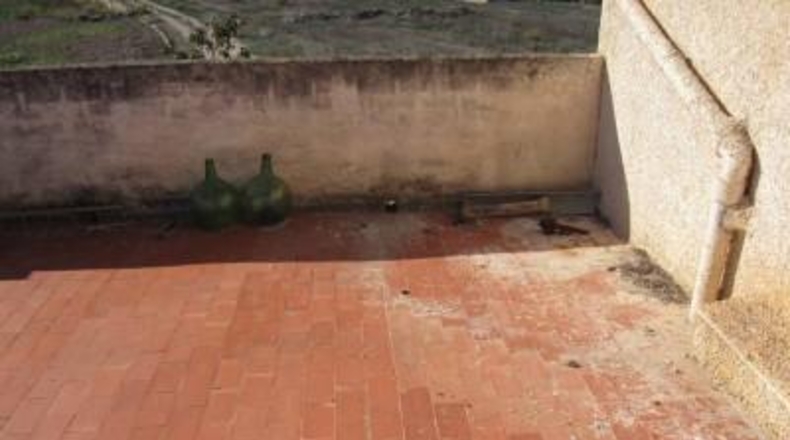 Alicante - Novelda - 10000m2