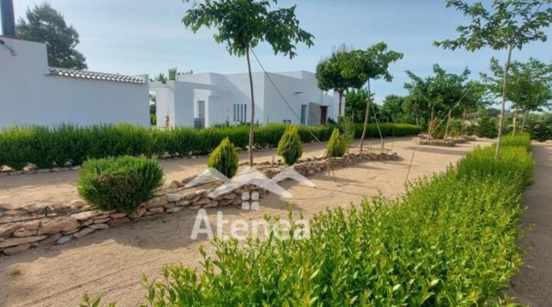 Albacete - La Roda - 11180m2