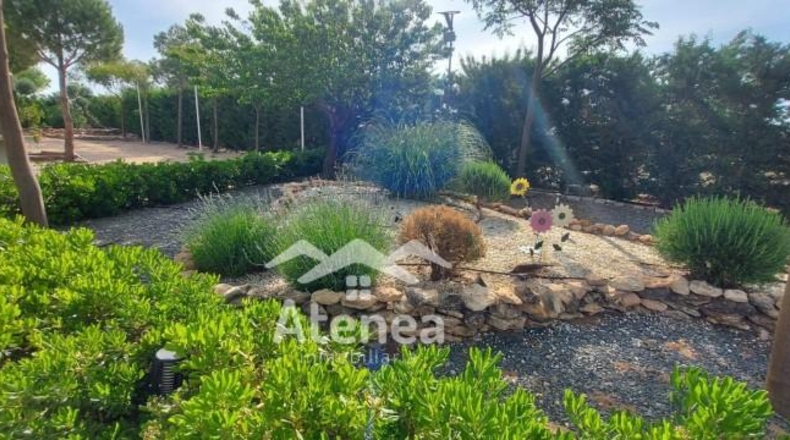 Albacete - La Roda - 11180m2