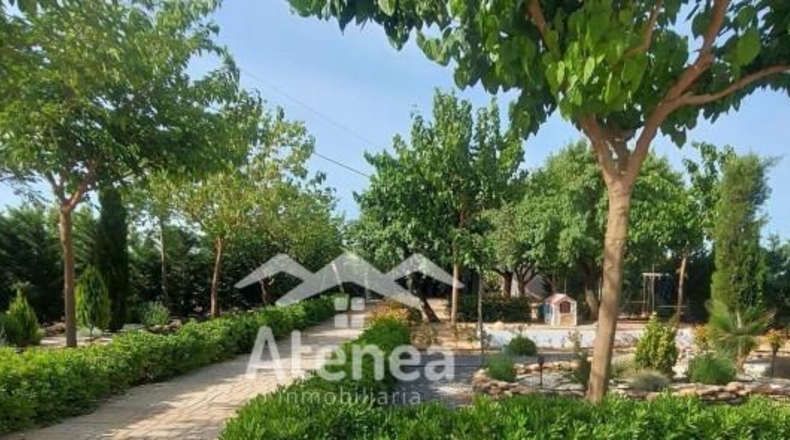 Albacete - La Roda - 11180m2