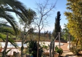 Land suitable for development for sale on España, Lorca, ref: TR122827 photo