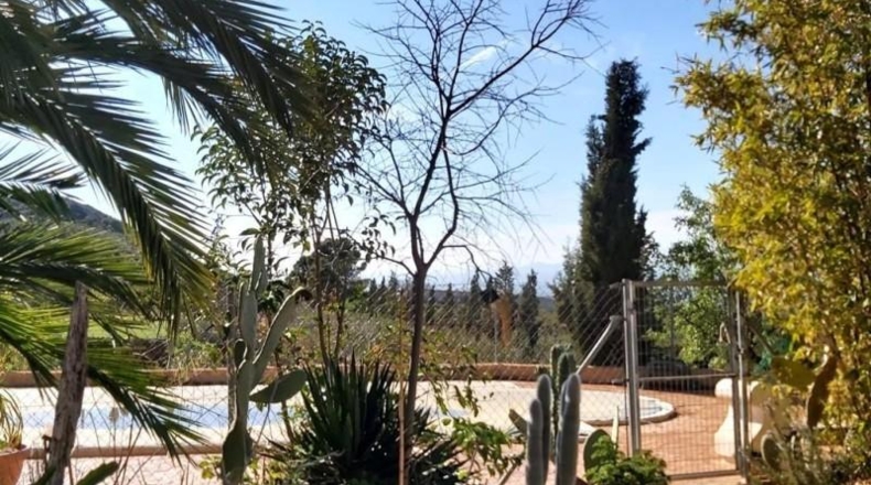 Múrcia - Lorca - 16024m2
