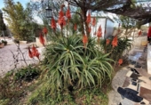 Land suitable for development for sale on España, Lorca, ref: TR122827 photo