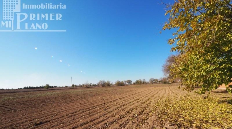 Ciudad Real - Tomelloso - 13699m2