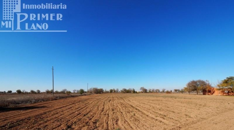Ciudad Real - Tomelloso - 13699m2