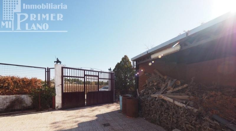 Ciudad Real - Tomelloso - 13699m2