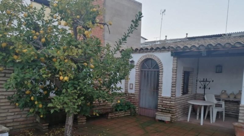 Valladolid - Carpio - 426m2