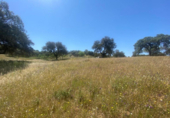 Non-developable land for sale on España, Badajoz, ref: TR117584 photo