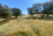 Non-developable land for sale on España, Badajoz, ref: TR117584 photo