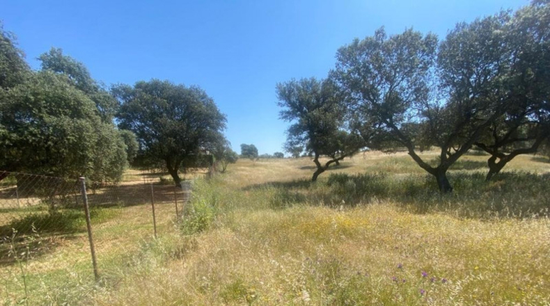 Badajoz - Badajoz - 10000m2