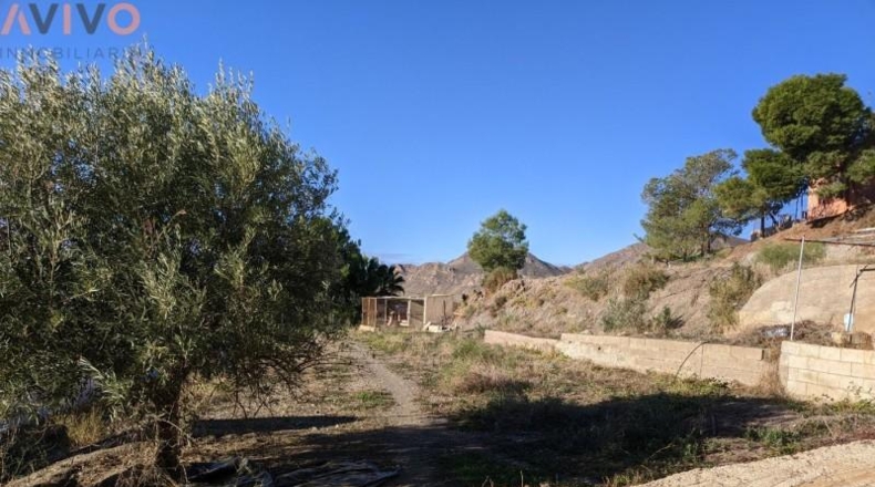 Murcia - Águilas - 1800m2