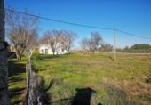 Urban land for sale on España, Casar de Cáceres, ref: TR143990 photo