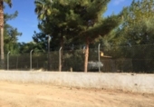 Casa de camp amb terreny en venda a la España, Librilla, ref.: TR141619 foto