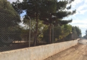 Casa de camp amb terreny en venda a la España, Librilla, ref.: TR141619 foto