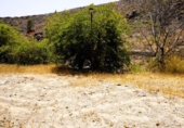 Xalet independent amb terreny en venda a la España, San Bartolomé de Tirajana, ref.: TR326802 foto