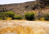 Xalet independent amb terreny en venda a la España, San Bartolomé de Tirajana, ref.: TR326802 foto