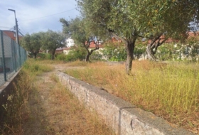 Foto 8