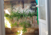 Casa de camp amb terreny en venda a la España, Mèrida, ref.: TR136845 foto
