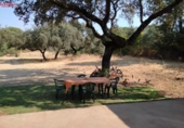 Xalet independent amb terreny en venda a la España, Còrdova, ref.: TR176369 foto