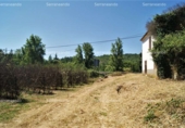 Non-developable land for sale on España, Fuenteheridos, ref: TR120941 photo
