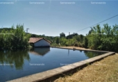 Non-developable land for sale on España, Fuenteheridos, ref: TR120941 photo