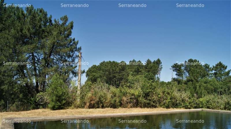 Huelva - Fuenteheridos - 17566m2