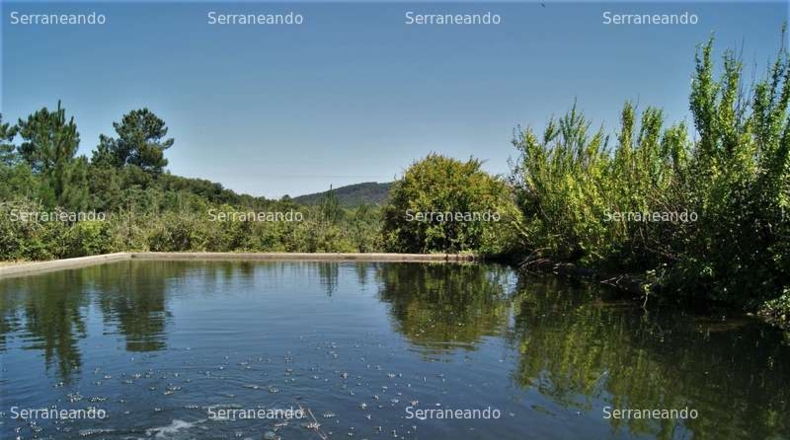 Huelva - Fuenteheridos - 17566m2
