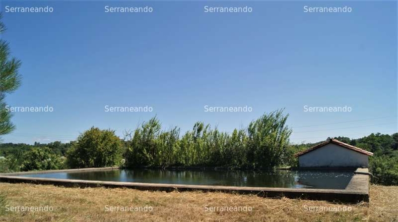 Huelva - Fuenteheridos - 17566m2