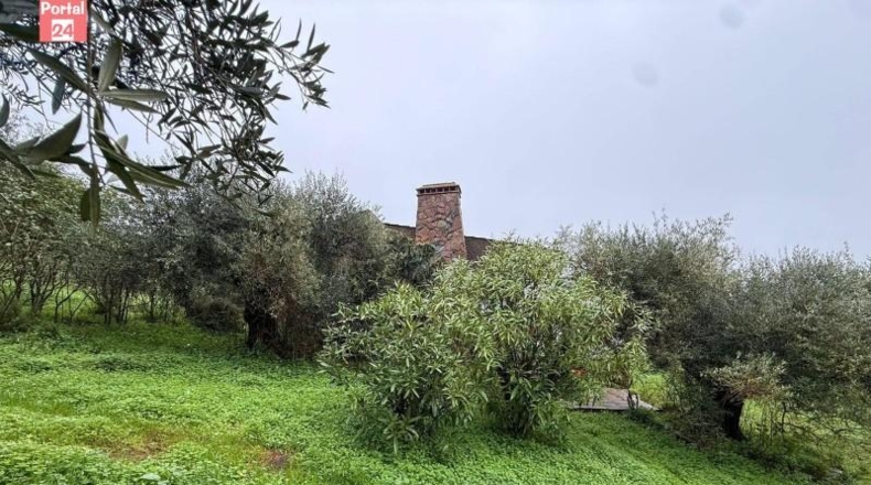 Badajoz - Olivenza - 4678m2