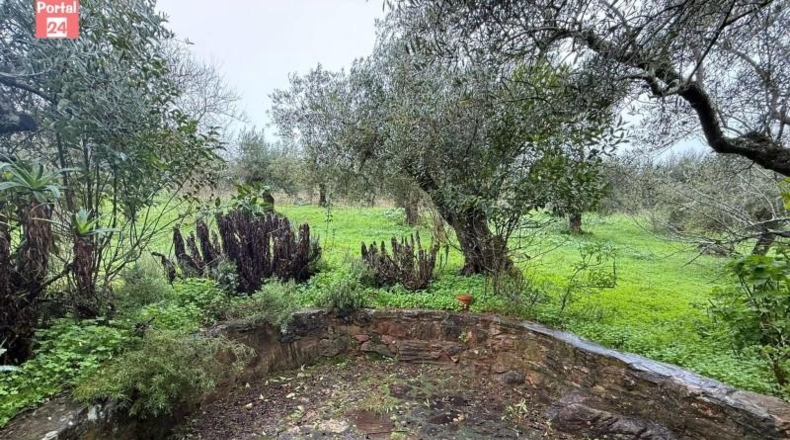 Badajoz - Olivenza - 4678m2