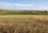 Rural estate for sale on España, Medina Sidonia, ref: TR294112 photo