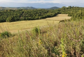 Foto 11