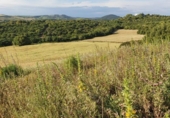 Rural estate for sale on España, Medina Sidonia, ref: TR294112 photo