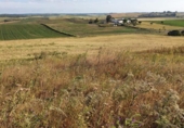 Rural estate for sale on España, Medina Sidonia, ref: TR294112 photo