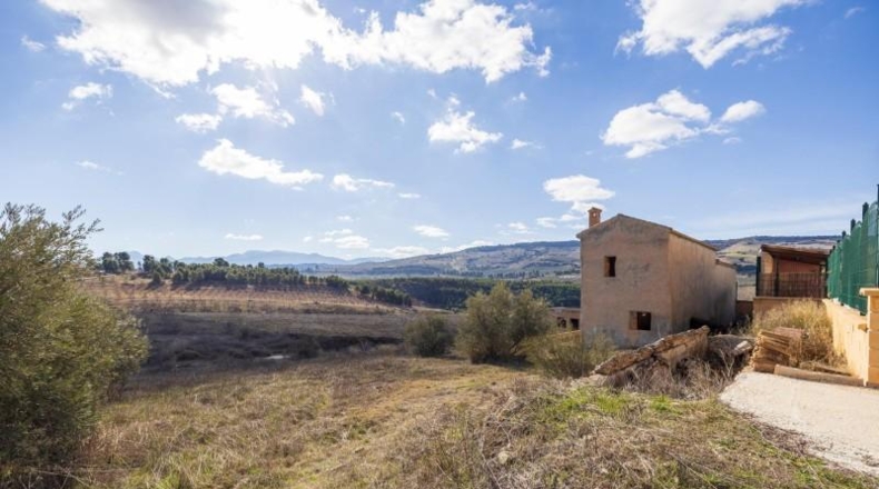Granada - Arenas del Rey - 7000m2