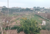 Chalet independiente con terreno en venta en la España, Aspe, ref: TR142239 foto