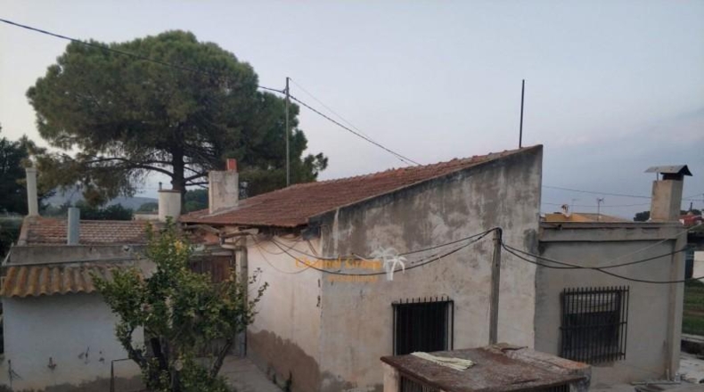 Alicante - Aspe - 9115m2