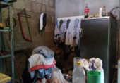 Casa de camp amb terreny en venda a la España, Güímar, ref.: TR181348 foto