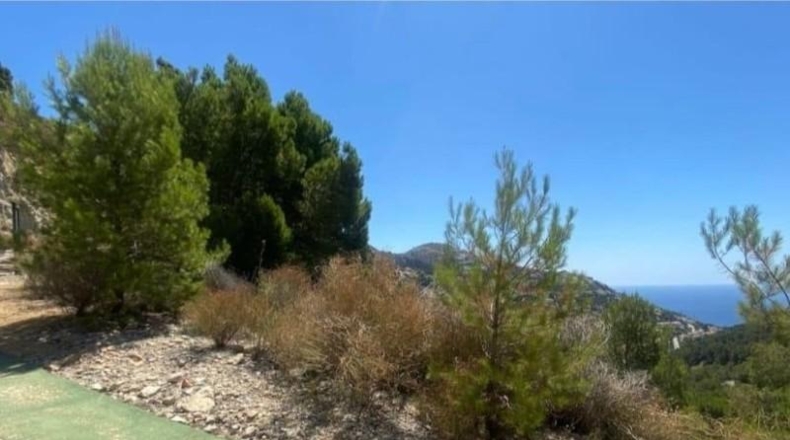 Alicante - Altea - 974m2