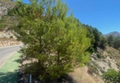 Sòl urbà en venda a la España, Altea, ref.: TR118798 foto