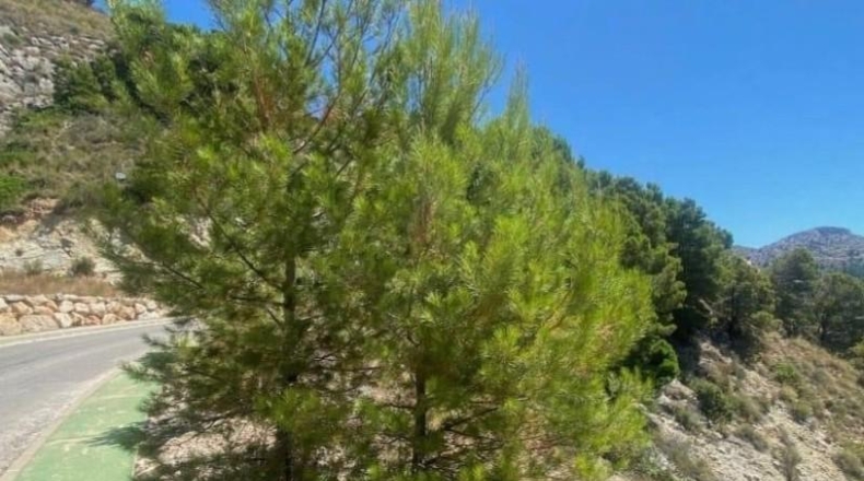 Alicante - Altea - 2012m2